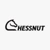 366d00 fix size chessnut logo